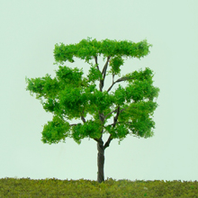 model trees
